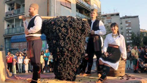 LEPE SLIKE NA ULICAMA SMEDEREVA: Tradicionalnim defileom počela 136. Smederevska jesen (FOTO)