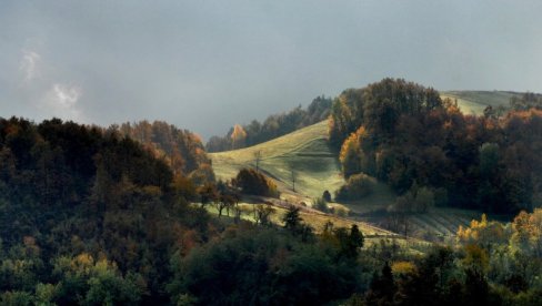 KRAĐA NA GOLIJI O KOJOJ SE PRIČA: Zadnje vreme je došlo - medvedi su manje štetočine od ljudi