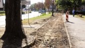ЗА ВИШЕ ДВОТОЧКАША НА УЛИЦАМА: Град Суботица обнавља бициклистичке стазе