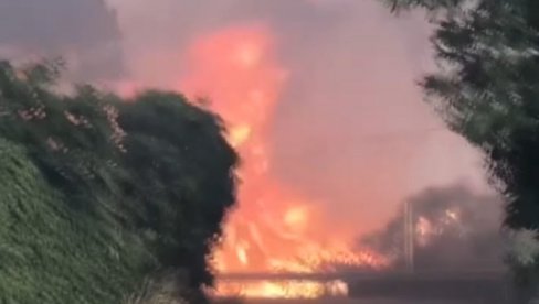 LJUDI PROVELI BESANU NOĆ NA KROVOVIMA KUĆA: Veliki šumski požar u Italiji se širi, škole zatvorene