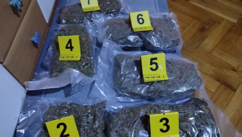 NAĐENO 3,5 KILOGRAMA MARIHUANE: Pretres kuće žene iz Jagodine (FOTO) NAĐENO 3,5 KILOGRAMA MARIHUANE: Pretres kuće žene iz Jagodine (FOTO)