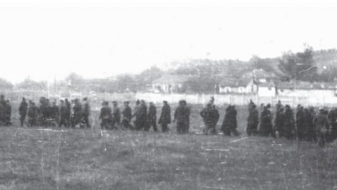 STRADANJE KRALJEVČANA SADA I NA ENGLESKOM: Objavljena naučna monografija o streljanjima 1941. Silvije Krejaković