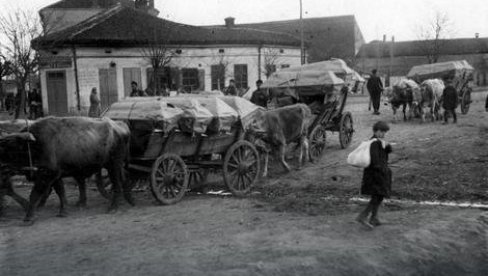 TRAGIČNE POBEDE I BRATSKI ZLOČINI: Veliki rat, vreme apokaliptičnog stradanja srpskog naroda (1)