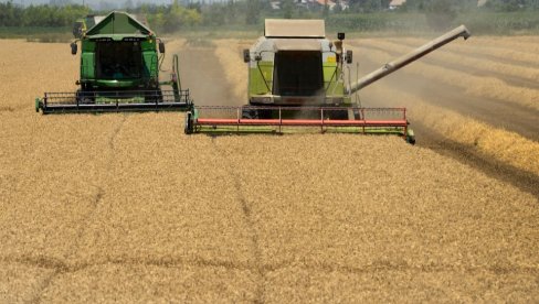 ФАО: Цене хране пале на најнижи ниво у последња три месеца, једино месо достигло нови рекорд