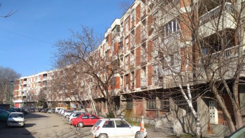 OVAKO ĆE SRBI U DIJASPORI MOĆI DA SE PRIJAVE ZA LEGALIZACIJU: Ministarka Sofronijević otkrila sve detalje