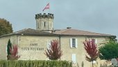 RAKUNI SE NEKONTROLISANO ŠIRE U FRANCUSKOJ: Remete lokalni ekosistem