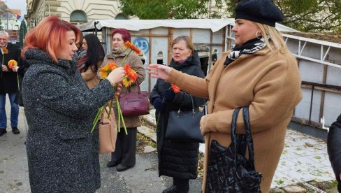 И ОВО ЈЕ НАСИЉЕ: И Зрењанин део пројекта Култура за демократију (ФОТО)