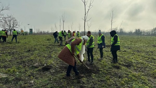 НОВА СТАБЛА И ВИШЕ РИБЕ Акција пошумљавања и порибљавања у Кули