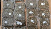 POLICIJA ZAPLENILA SKORO OSAM KILOGRAMA KANABISA: Podignuta optužnica protiv Beograđanina zbog trgovine drogom
