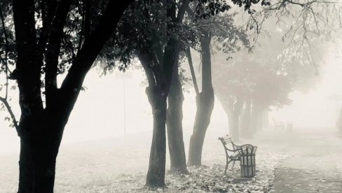 PRVA NAGRADA JESENJEM MOMENTU: Foto-konkurs Narodne biblioteke u Kuli