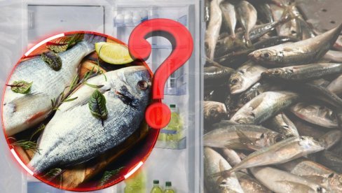 KAD VAM RIBLJA KOST ZAPADNE U GRLO: Trikovi koji vas mogu spasiti KAD VAM RIBLJA KOST ZAPADNE U GRLO: Trikovi koji vas mogu spasiti