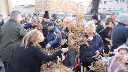 BADNJACI ZA 10 HILJADA PORODICA: NP „Fruška gora“ uoči Božića ponovo obradovao Novosađane (FOTO)