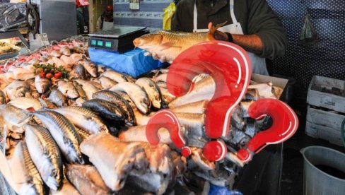 KAKO DA PREPOZNATE SVEŽU RIBU: Ovo su korisni saveti - uz ove trikove ćete znati da li je loša KAKO DA PREPOZNATE SVEŽU RIBU: Ovo su korisni saveti - uz ove trikove ćete znati da li je loša