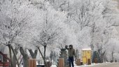 STIŽE ZIMA KAKVU NISMO IMALI GODINAMA Upozorenje Ivana Ristića - Može sve da zaledi, temperatura će ići i do -15