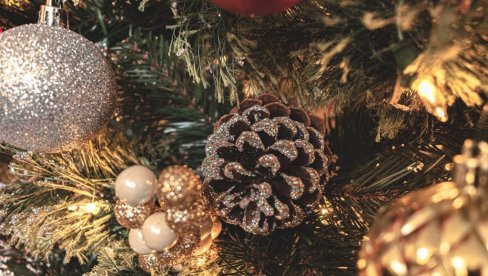 KAKO DA OKITITE JELKU DA PRIVUČETE NOVAC U 2026: Jedan stil je magnet za bogatstvo, a stari ukras najvažniji