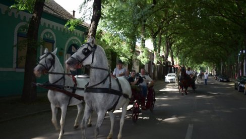 VRELINA ZAUSTAVILA FIJAKERE: Razgledanje Kikinde iz kočija sada u novom terminu