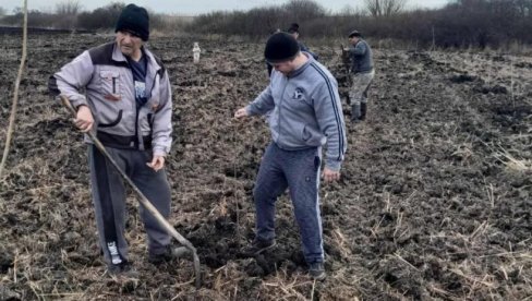 AKCIJA POŠUMLJAVANJA: Kod Zrenjanina zasadili 500 sadnica bagrema i 200 sadnica topole (FOTO)