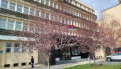 СТАБЛА У ЦВАТУ МАМЕ ЛЕПОТОМ: Стигло пролеће испред параћинског Суда (ФОТО) СТАБЛА У ЦВАТУ МАМЕ ЛЕПОТОМ: Стигло пролеће испред параћинског Суда (ФОТО)