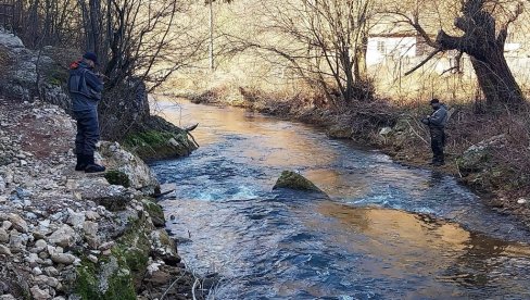 PECAROŠI LOVILI KRALJICU BRZAKA: Sezona varaličarenja pastrmke otvorena u kanjonu reke Crnice, kod Zabrege