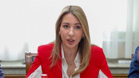 VELIKO PRIZNANJE ENERGETSKOM SEKTORU U SRBIJI: Strani investitori pohvalili napredak u svojoj Beloj knjizi