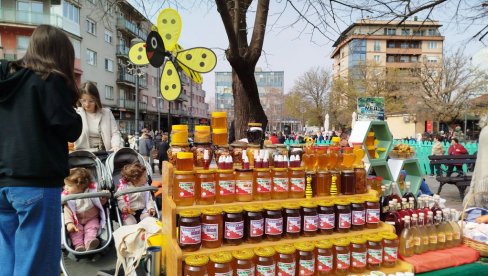 PARAĆIN U SUBOTU CENTAR MEDA I VINA: Sve spremno za dve velike manifestacije (FOTO)