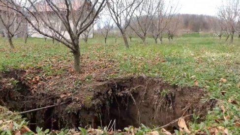 RUPA SE POJAVILA NIOTKUDA: Na plantaži lešnika misterija, otvorila se zemlja (FOTO)