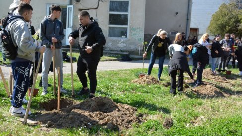 ОД 12 ОДЕЉЕЊА ПО ДРВО ГЕНЕРАЦИЈЕ: Еколошка акција ученика Пољопривредне школе у Неготину