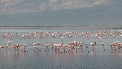 OVO JE NAJOPASNIJE JEZERO NA SVETU: Sve što dođe u dodir s vodom pretvara se u kamen (FOTO)