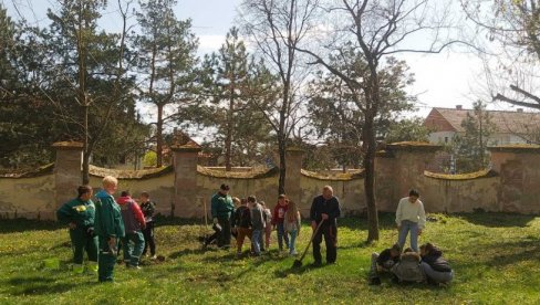 DA OZELENE ŠKOLSKA DVORIŠTA: Širom Vršca posađeno još 2.280 stabala