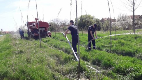 VATROGASCI U  KULI ZALIVALI SADNICE: Vatrogasci su zalili sadnice na obali Velikog bačkog kanala i kod nekadašnjeg Doma zdravlja