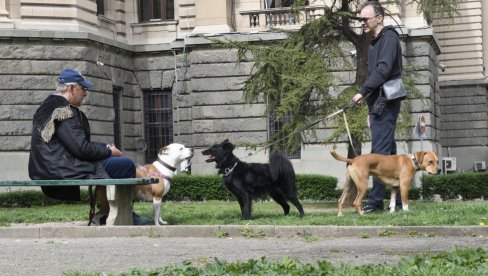 U PARK IH VODE BEZ KORPE I POVOCA: Pojedini vlasnici opasnih pasa ne poštuju odluku o šetnji ljubimaca