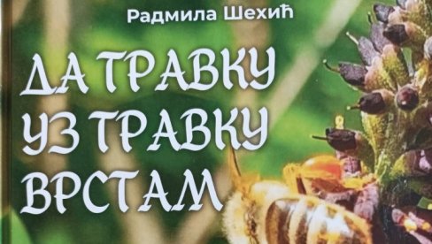 NAĐI SVOJU ZVEZDU: U Dečjem kulturnom centru Beograd nova knjiga Radmile Šehić i muzički program