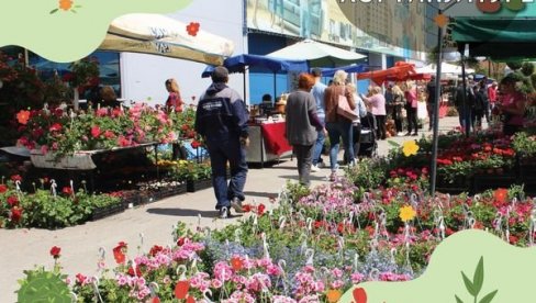 NAJVEĆI SAJAM HORTIKULTURE U SRBIJI: Na Šumadija sajmu u Kragujevcu više od 100 izlagača