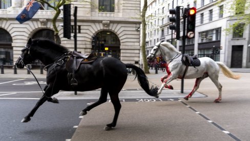 KRVAVI KONJI JURILI LONDONOM: Nazapamćen incident u britanskoj prestonici