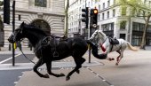 DETALJI DRAME U LONDONU: Poznato šta se dešava sa krvavim konjima koji su jurili gradom (VIDEO)