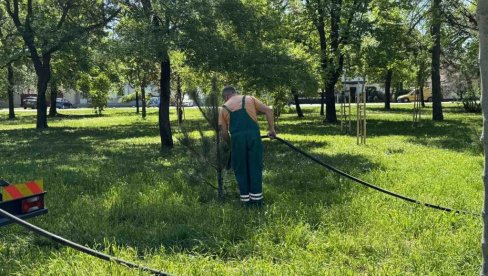 ЧУВАЈУ И ОДРЖАВАЈУ ЗЕЛЕНИЛО: Редовно заливање младих садница у зрењанинском Карађорђевом парку