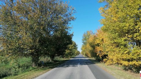 TRAŽE NOVU ZAŠTITU ZA STARE DUDOVE: Vrščani se bore da očuvaju drvorede stare više od 200 godina na putu ka mestu Straža