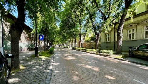 ЗЕЛЕНИЛА ДОВОЉНО САМО СТАТИСТИЧКИ: Суботица знатно надмашује европски просек, али суграђани сматрају да су им мало 183 квадрата по глави ЗЕЛЕНИЛА ДОВОЉНО САМО СТАТИСТИЧКИ: Суботица знатно надмашује европски просек, али суграђани сматрају да су им мало 183 квадрата по глави
