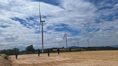 SVE POČINJE SA PTICAMA, A ZAVRŠAVA SA DEVASTACIJOM ZEMLJIŠTA I VODA! Alternativni izvori energije: Prednosti i nedostaci