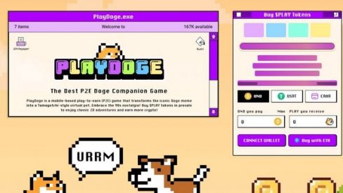 Флоки расте док се PlayDoge појављује као нова P2E меме криптовалута са потенцијалом
