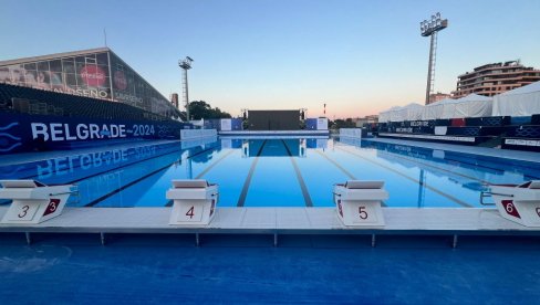 ŠTAFETA PETA, VELJA OSMI: Naši plivači danas nisu mogli da osvoje nove medalje na EP u vodenim sportovima u Beogradu
