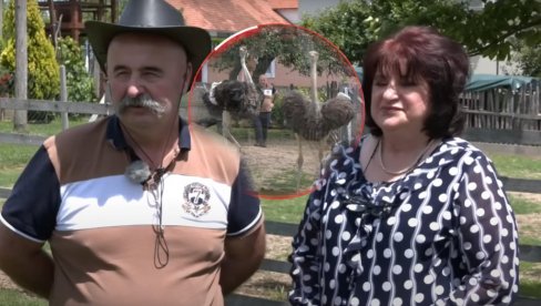 POSLE 37 GODINA U ŠVAJCARSKOJ: Petrovići se vratili u Srbiju, pa osnovali neobičnu farmu (VIDEO)