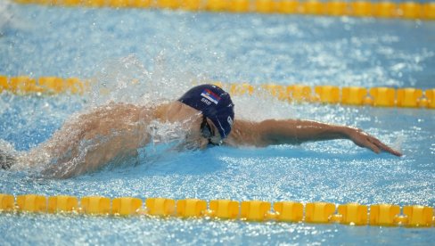 BRAVO! Srpski plivači Andrej Barna i Anja Crevar u polufinalu Evropskog prvenstva u Beogradu