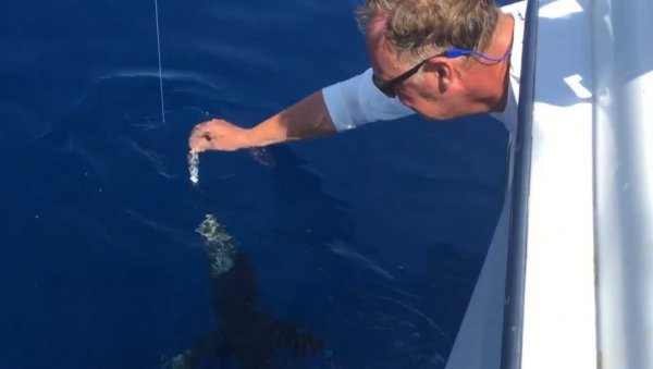 НЕВЕРОВАТАН СНИМАК ИЗ КОМШИЛУКА: Морски пас једе рибару из руке, ово морате видети (ВИДЕО)
