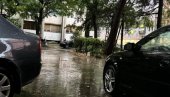 СТРАВА У УЛИЦИ ЧАРНОЈЕВИЋЕВОЈ Муку муче након сваке кише: Нишка Венеција, требају нам чизме да изађемо из зграде