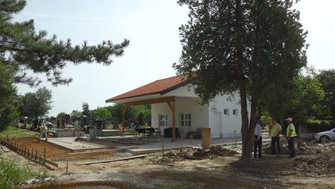 OPET OKIĆENO DRVO MAJ: Osvanulo u naselju Boljevci OPET OKIĆENO DRVO MAJ: Osvanulo u naselju Boljevci