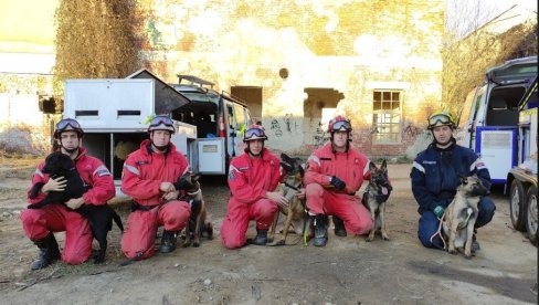 ZIGIJA ĆE NASLEDITI ZITA: Sektor za vanredne situacije MUP uskoro će raspolagati sa pet novih spasilačkih pasa (FOTO)