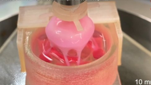 JAPANSKI NAUČNICI KREIRALI ROBOTA: Nasmejano lice od živih ćelija kože (VIDEO)