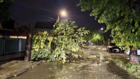 SNAŽNO NEVREME U DOBOJU: Oborena stabla, blokirani putevi