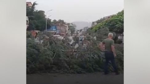 ДРВО ПАЛО НА ЖЕНУ: Невреме направило велике проблеме у региону (ВИДЕО)